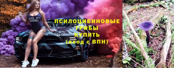 a pvp Горнозаводск