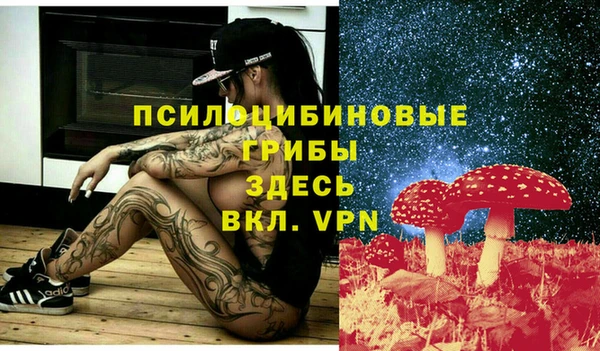 спиды Горно-Алтайск