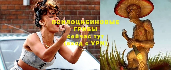 спиды Горно-Алтайск