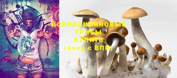 спиды Горно-Алтайск