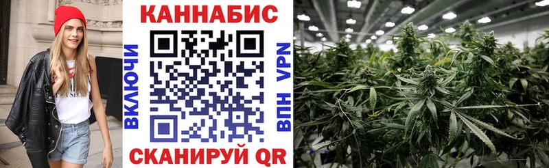 купить наркоту  omg вход  Бошки Шишки THC 21%  мориарти клад  Армавир 
